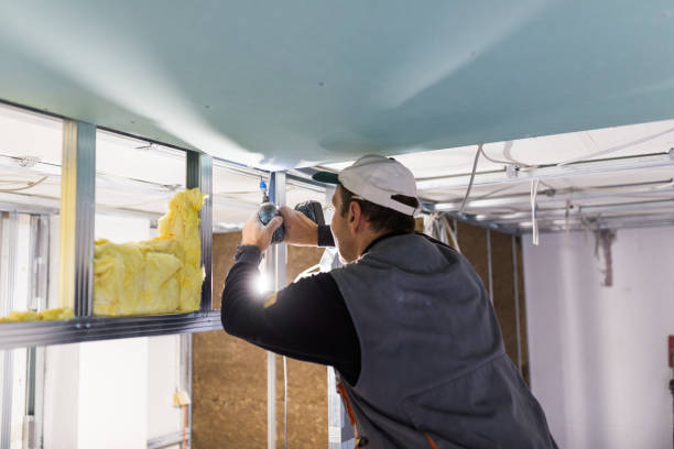 Best Residential Insulation in Catalina Foothills, AZ