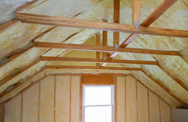 Best Spray Foam Insulation in Catalina Foothills, AZ