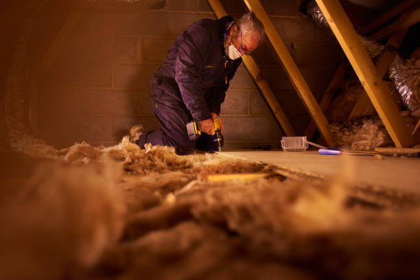 Best Fiberglass Insulation in Catalina Foothills, AZ